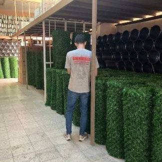 Çimçit